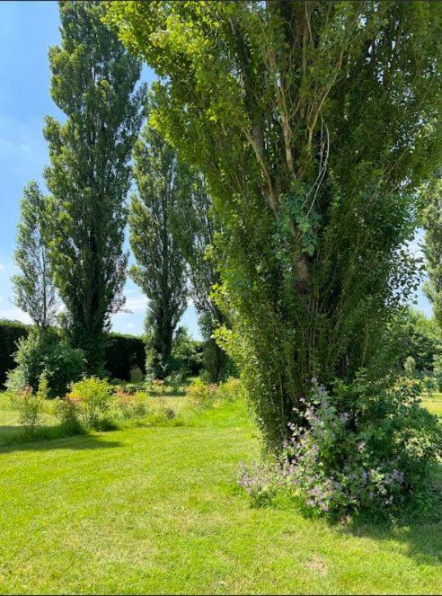 Domaine Des Epinettes Hotell Saint-Romain-de-Jalionas Exteriör bild